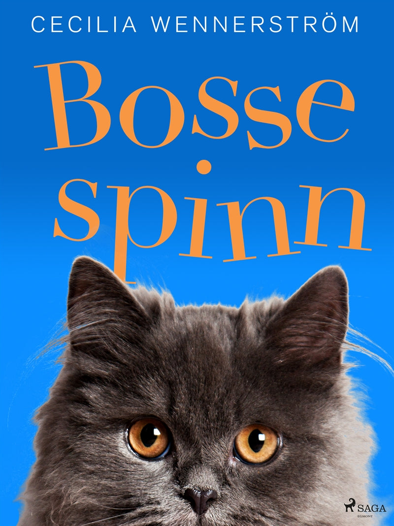 Bosse Spinn – E-bok