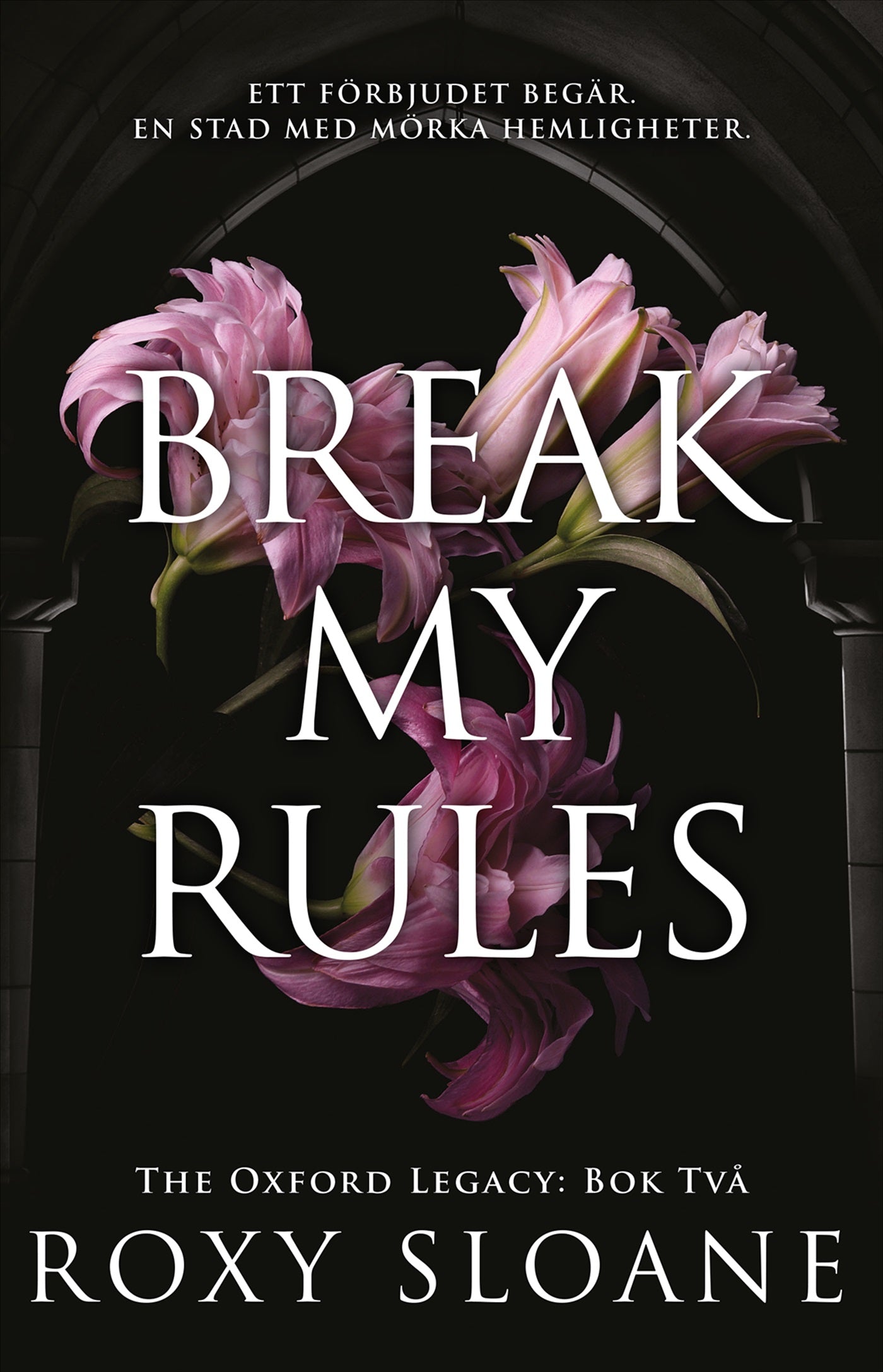 Break My Rules (svensk utgåva) – E-bok
