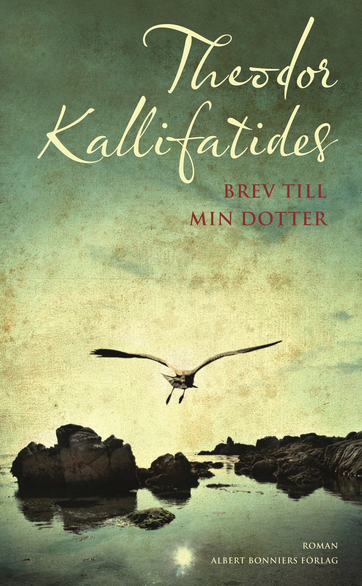 Brev till min dotter – E-bok