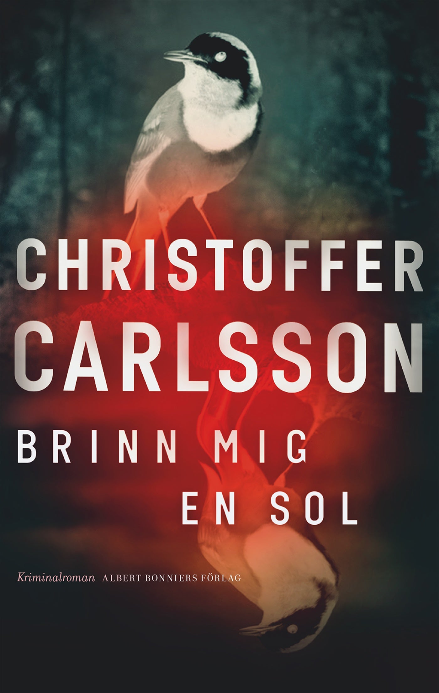 Brinn mig en sol – E-bok