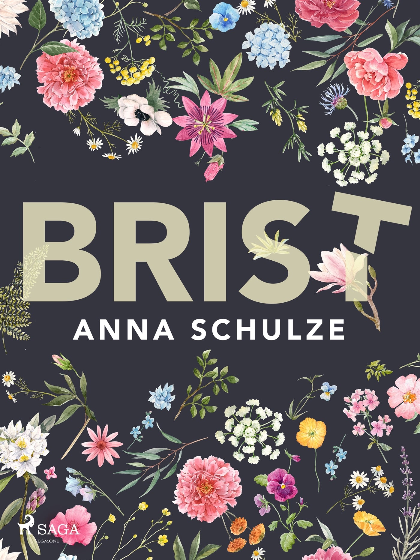 Brist – E-bok