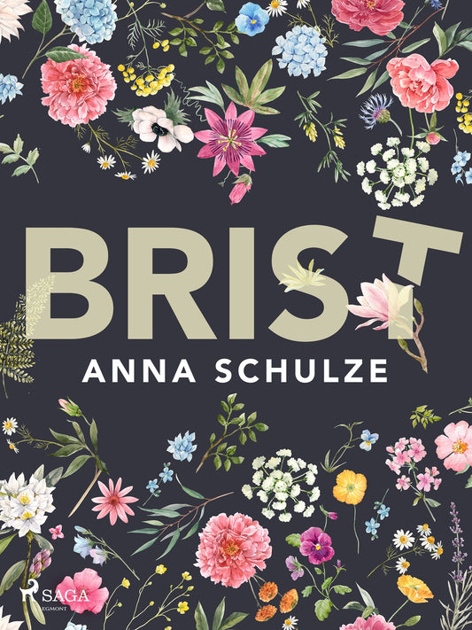 Brist – E-bok