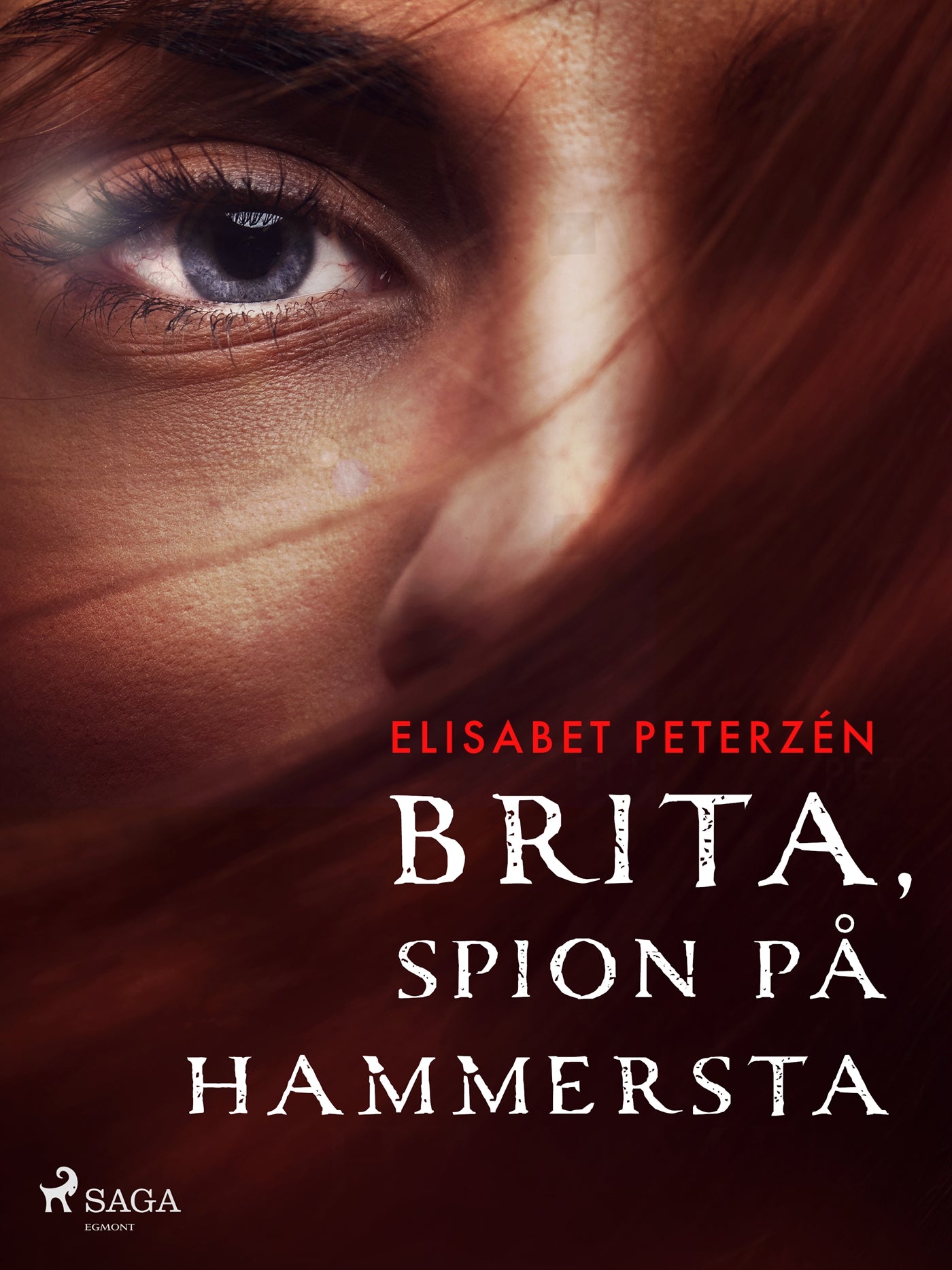 Brita, spion på Hammersta – E-bok