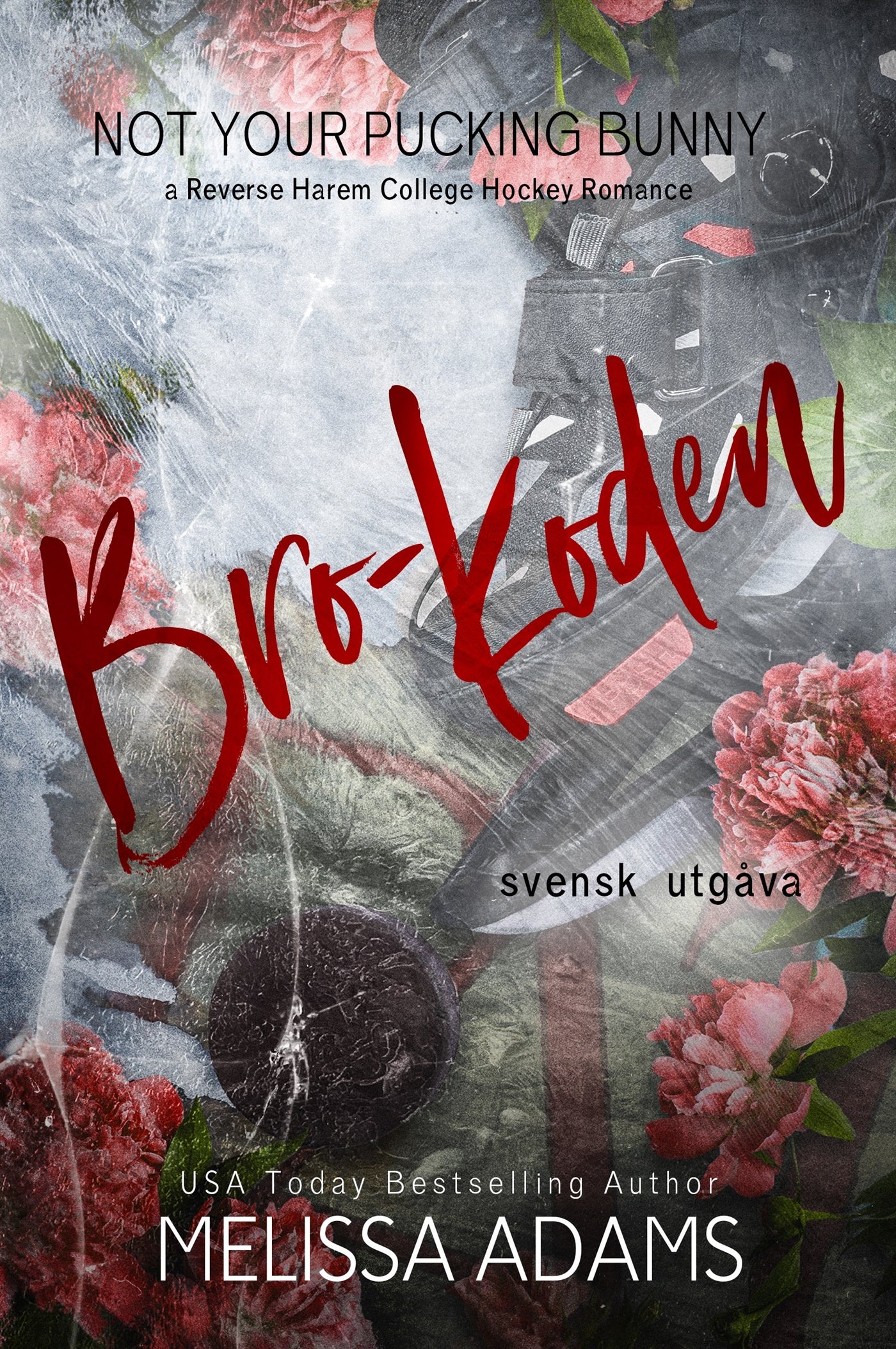 Bro-Koden – E-bok