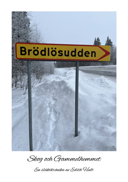 Brödlösudden: Skog och Gammelhemmet – E-bok