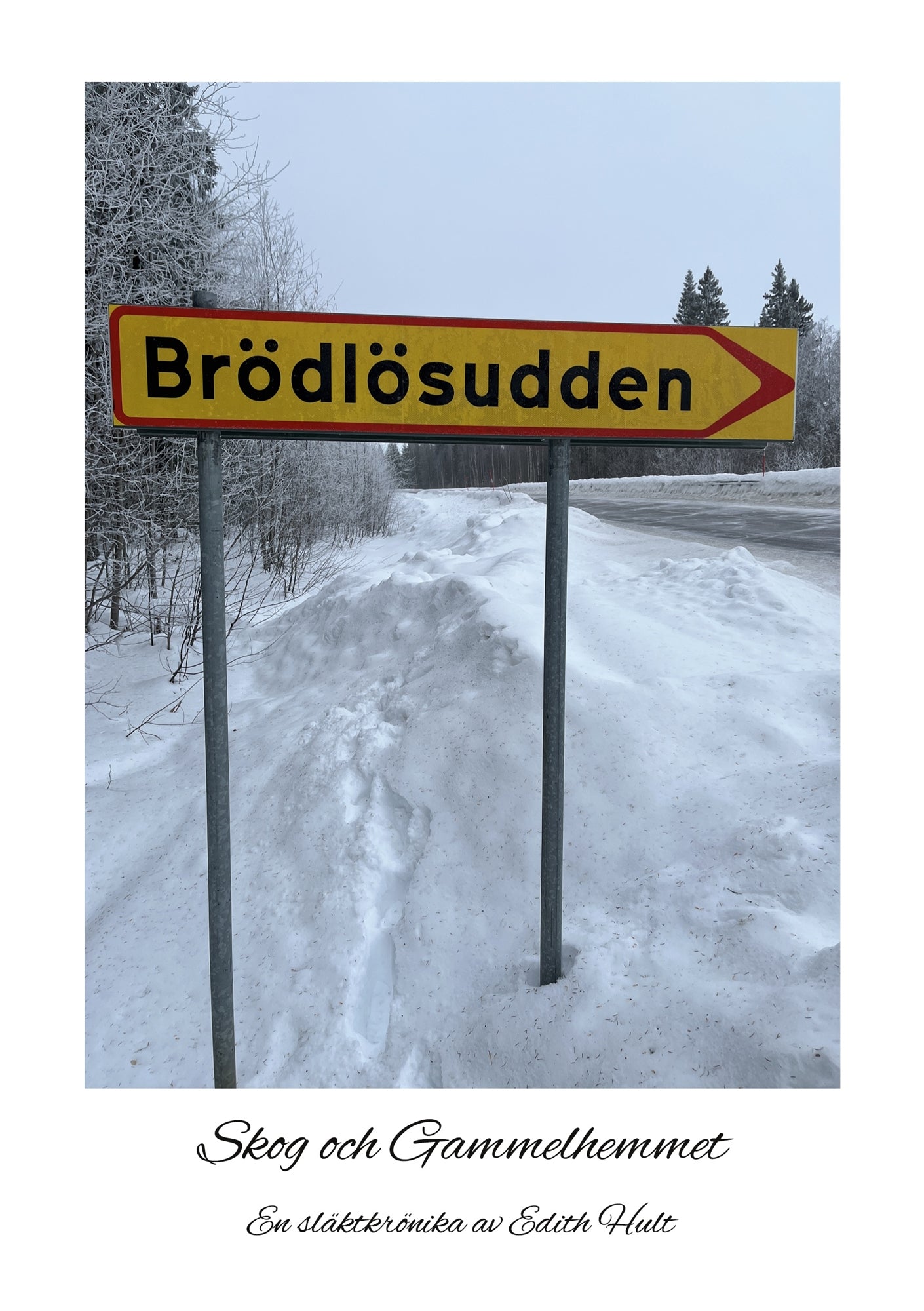 Brödlösudden: Skog och Gammelhemmet – E-bok