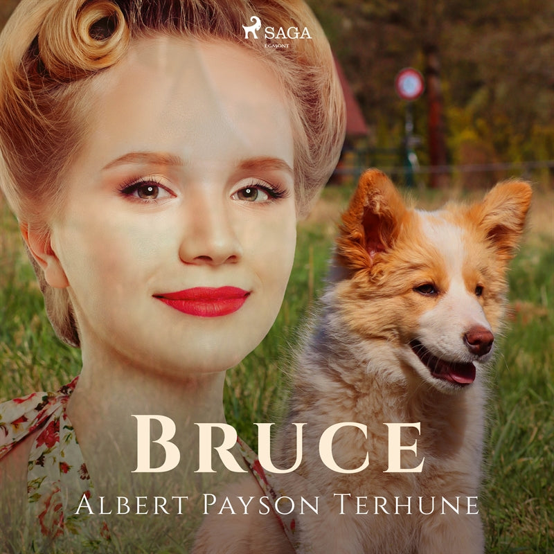 Bruce – Ljudbok