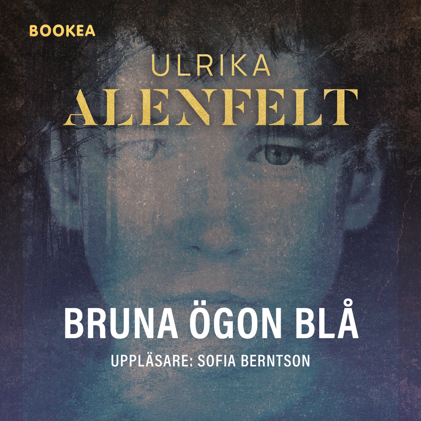 Bruna ögon blå – Ljudbok