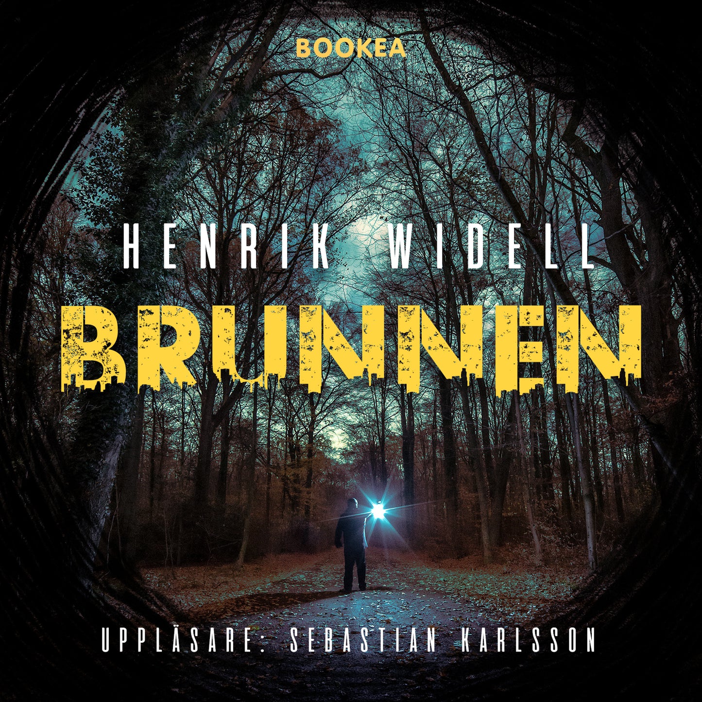Brunnen – Ljudbok