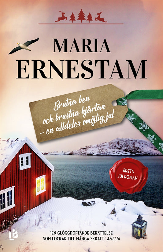 Brutna ben och brustna hjärtan – en alldeles omöjlig jul – E-bok