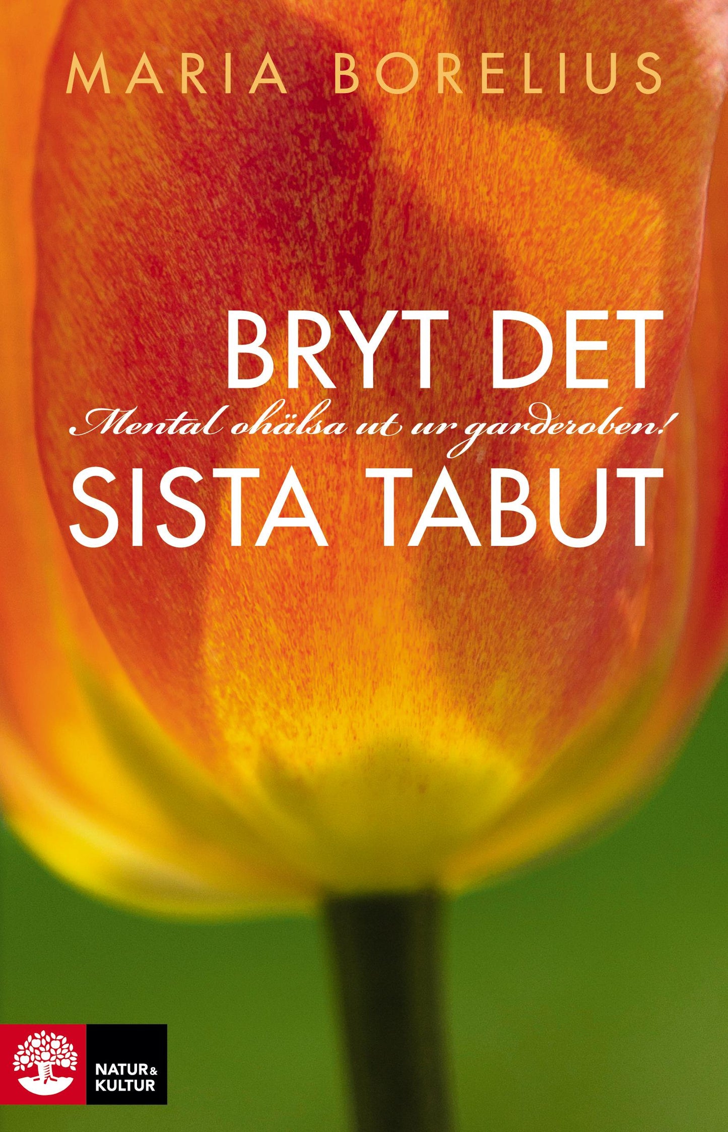 Bryt det sista tabut : mental ohälsa ut ur garderoben  – E-bok