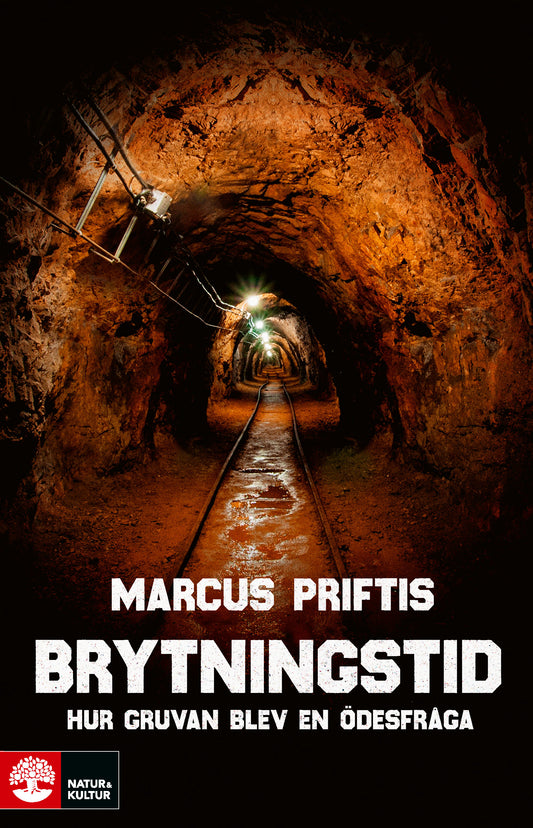 Brytningstid : hur gruvan blev en ödesfråga – E-bok