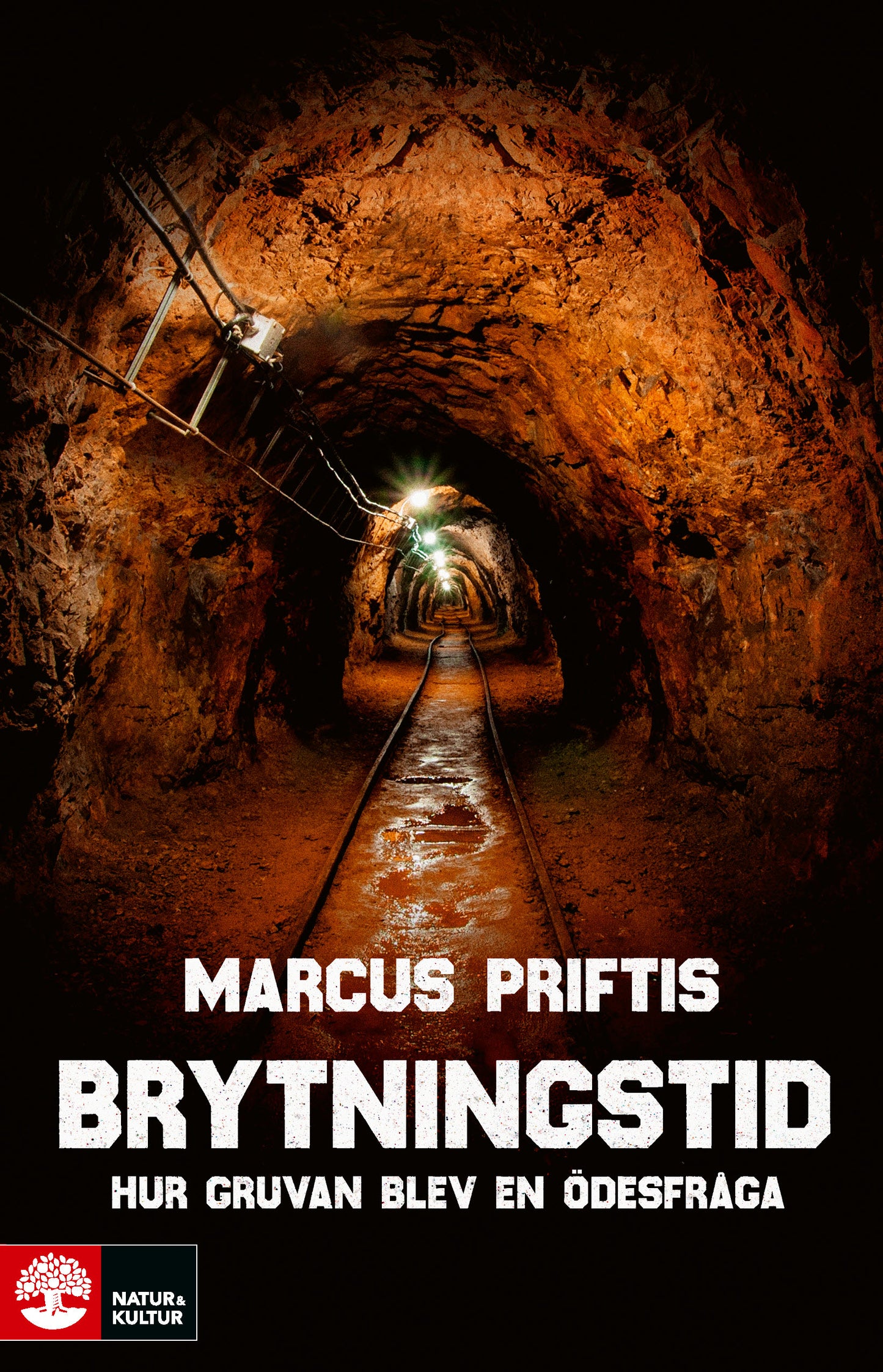 Brytningstid : hur gruvan blev en ödesfråga – E-bok