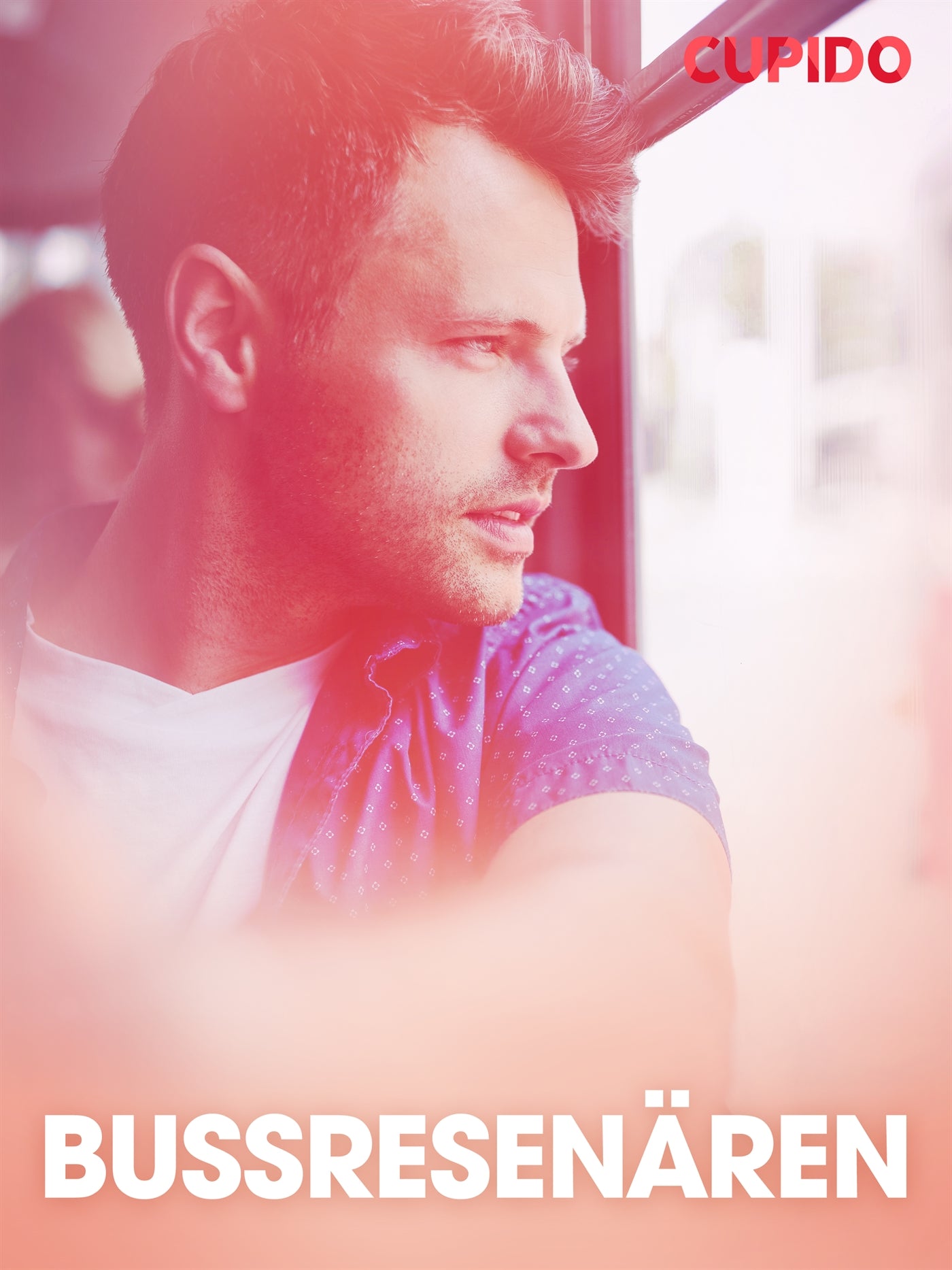 Bussresenären – erotisk novell – E-bok