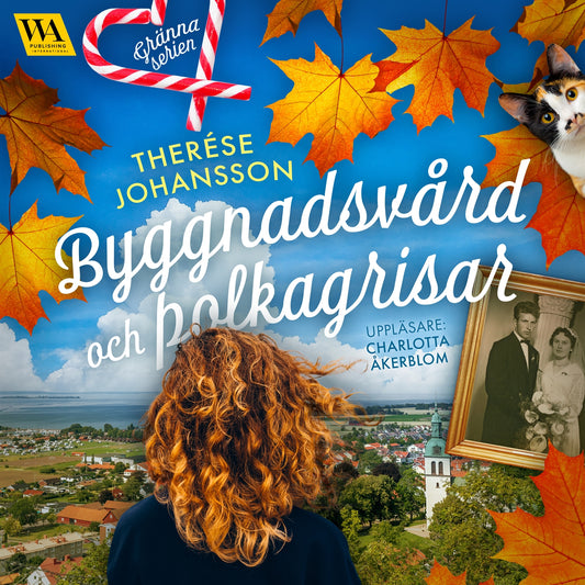 Byggnadsvård och polkagrisar – Ljudbok
