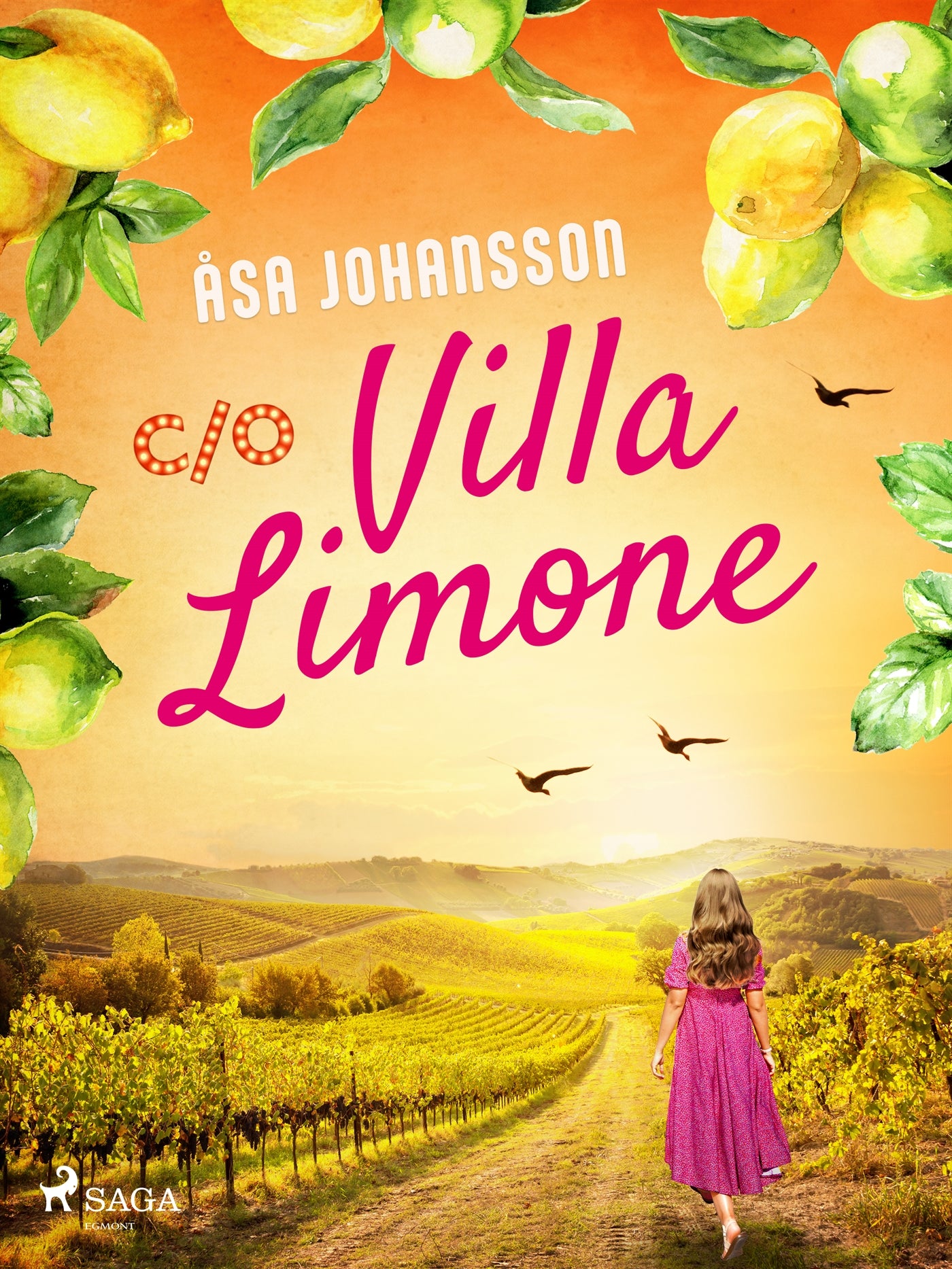 C/O Villa Limone – E-bok