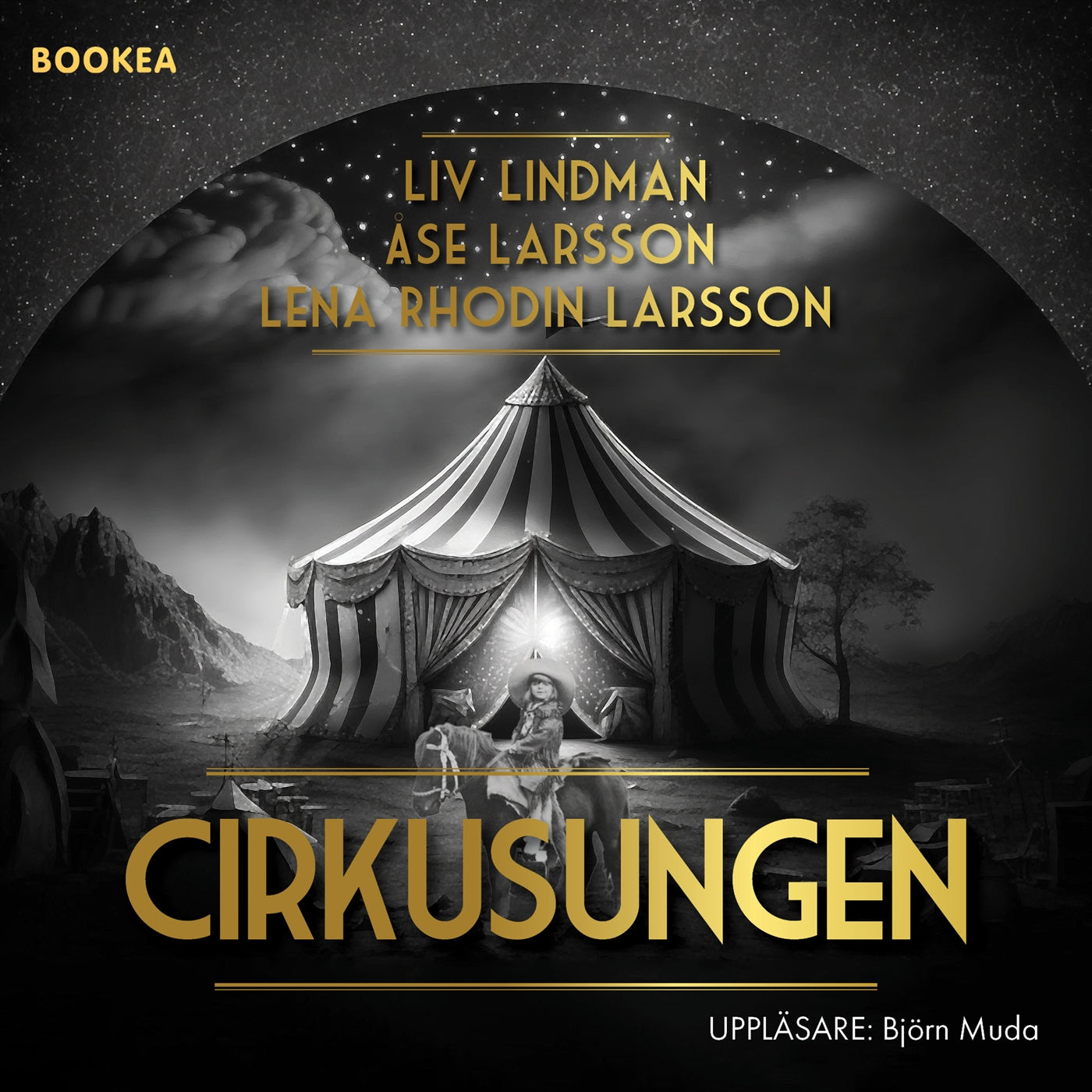 Cirkusungen – Ljudbok