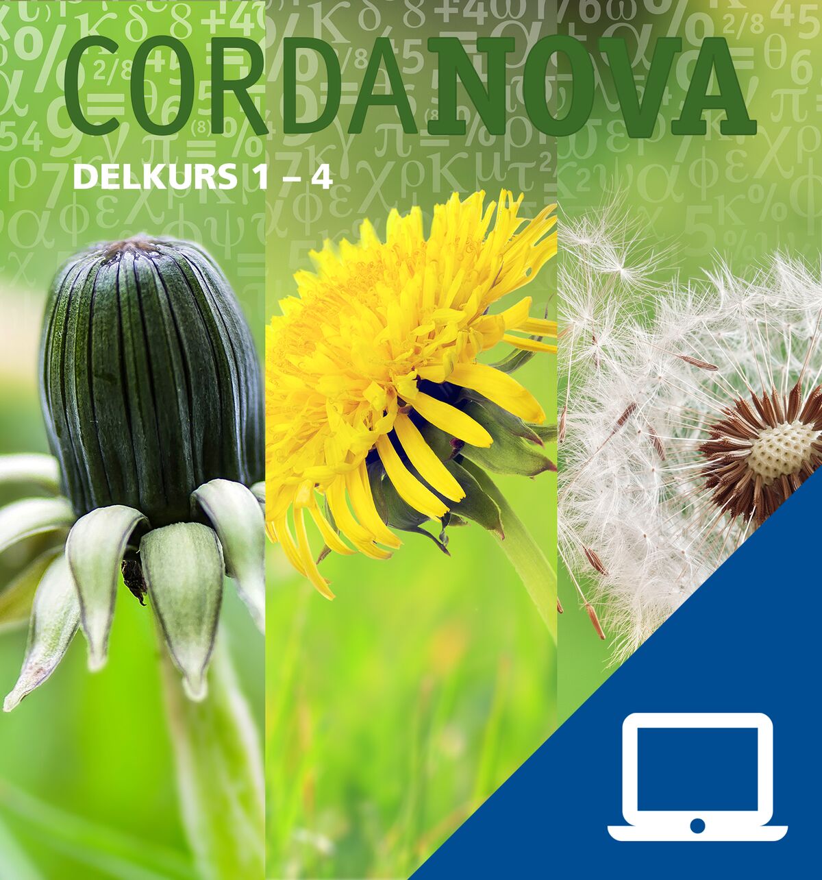 CordaNova delkurs 1-4, digitalt lärarmaterial, 12 mån (OBS! Endast för lärare)