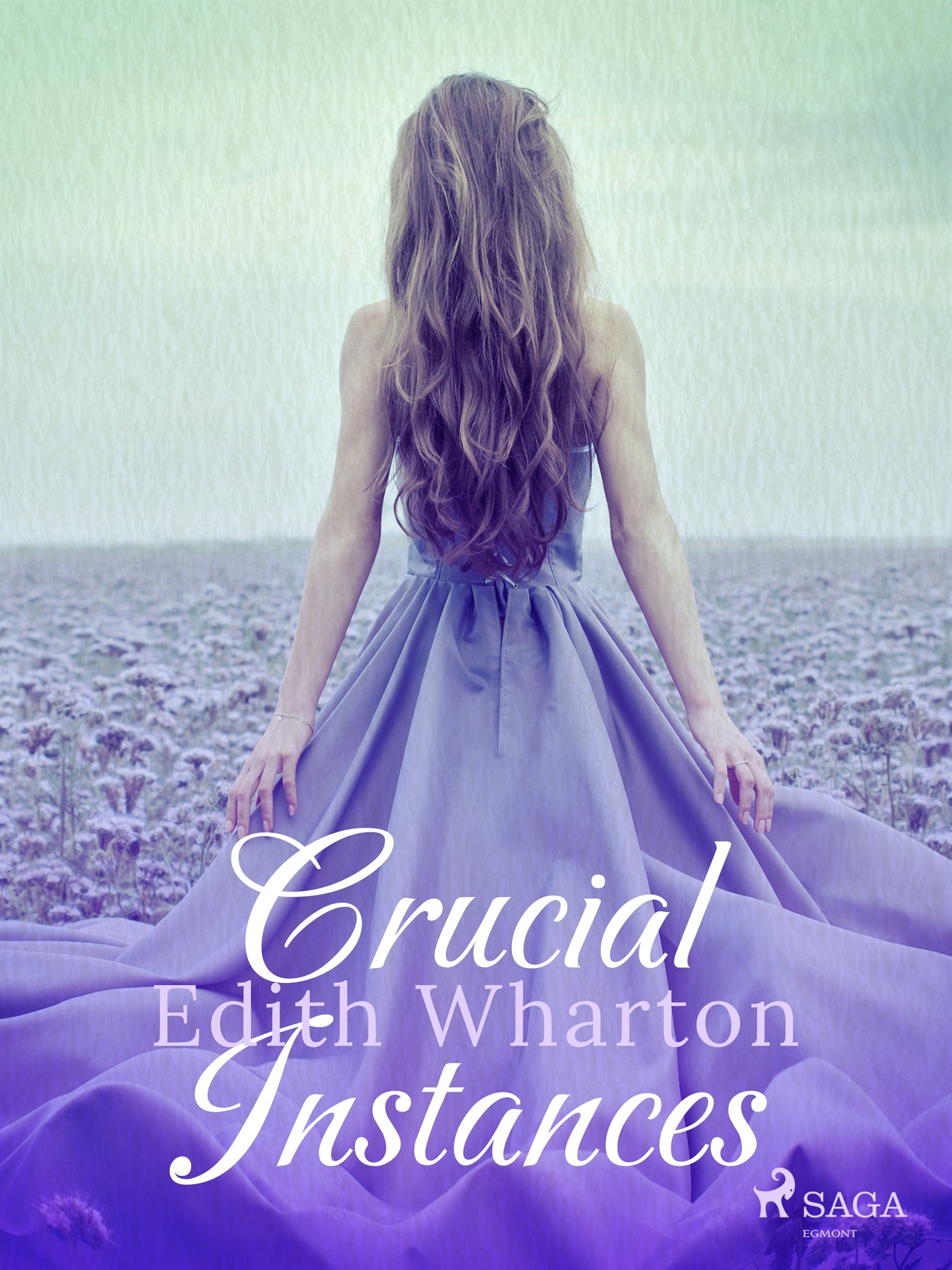 Crucial Instances – E-bok