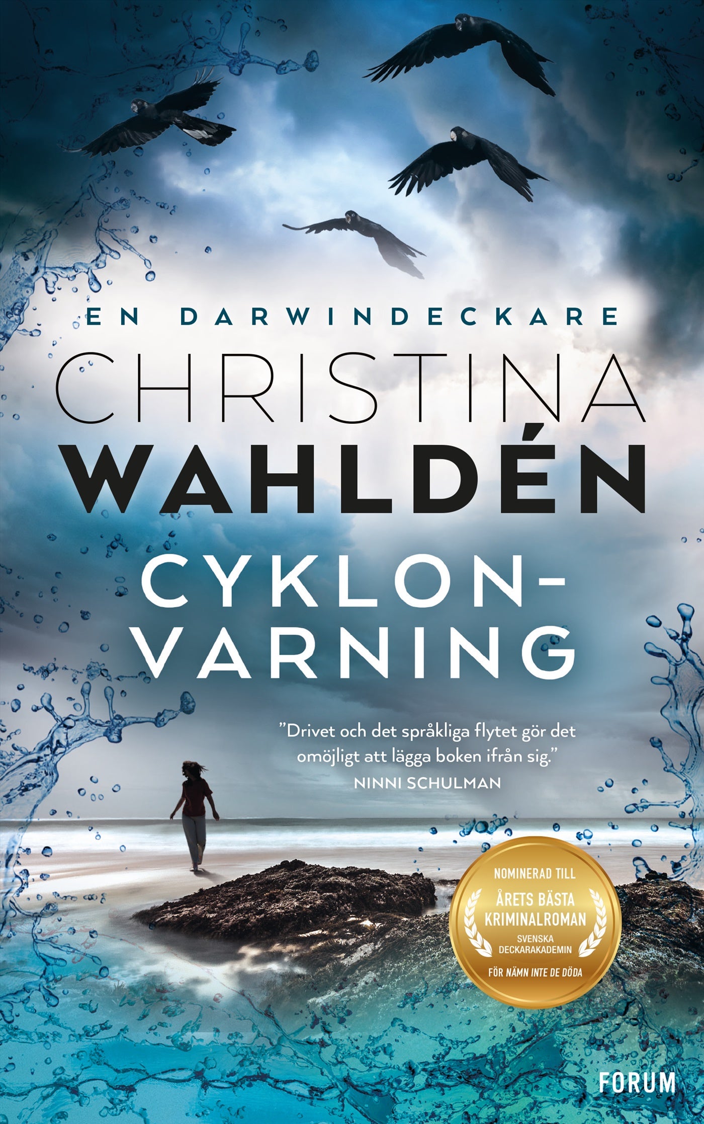 Cyklonvarning – E-bok