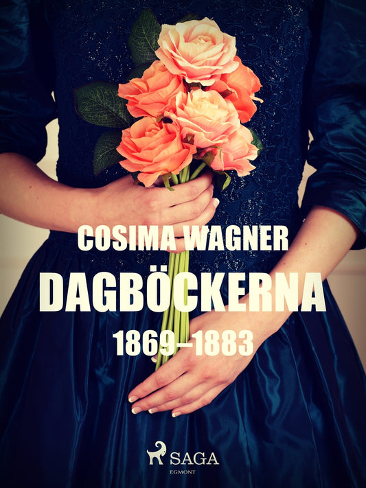 Dagböckerna 1869–1883 – E-bok
