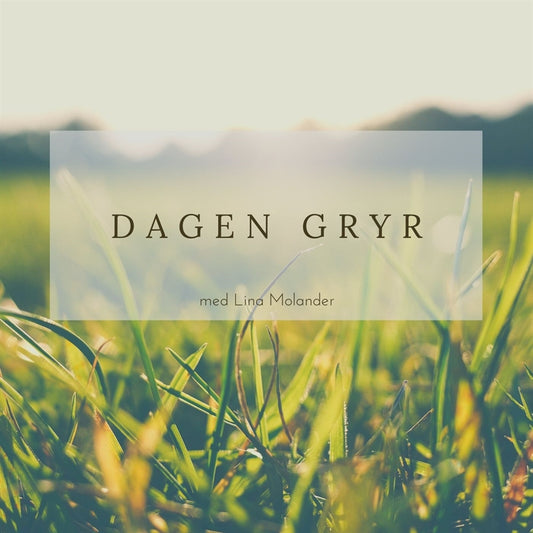 Dagen gryr – Ljudbok