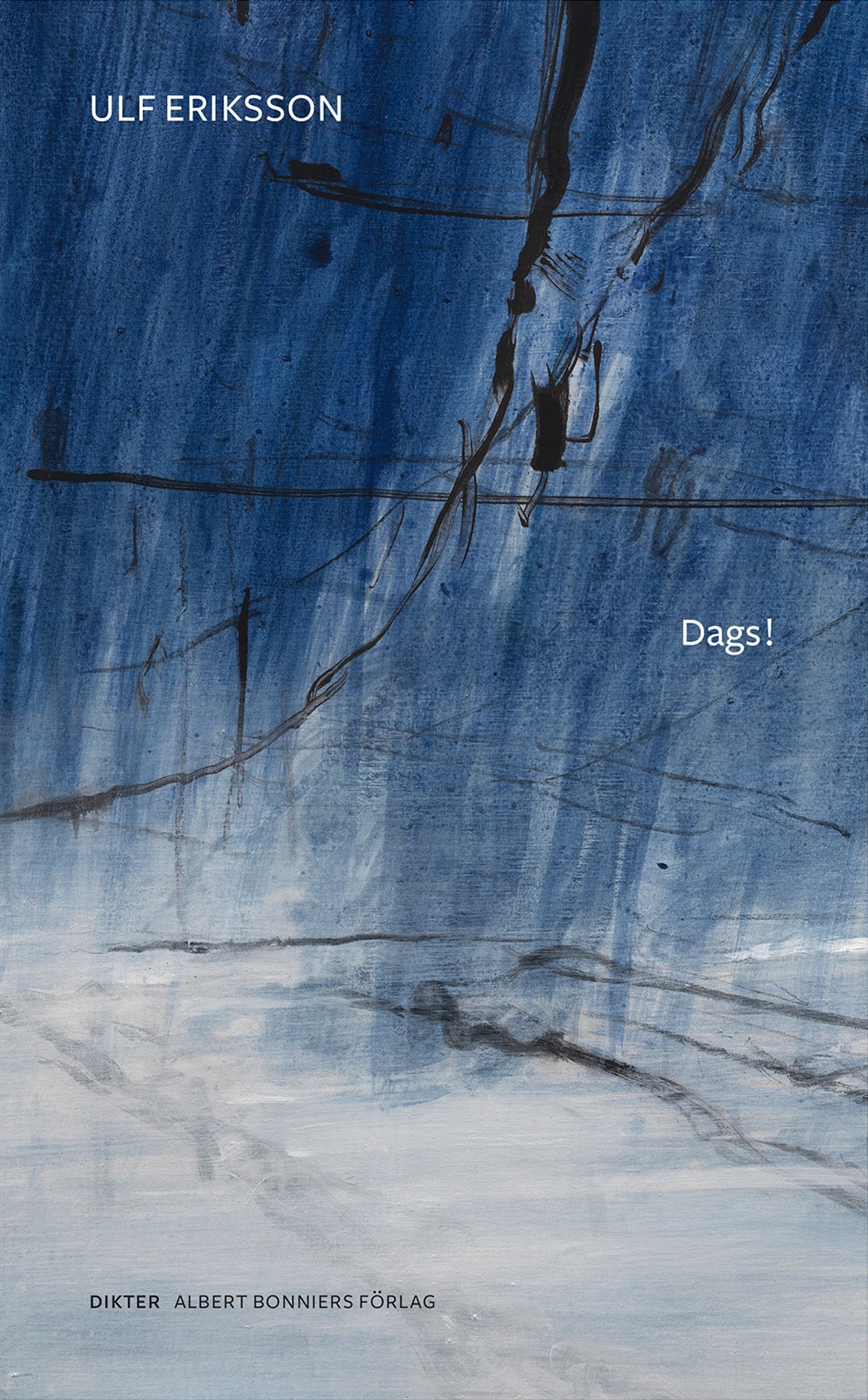 Dags! – E-bok