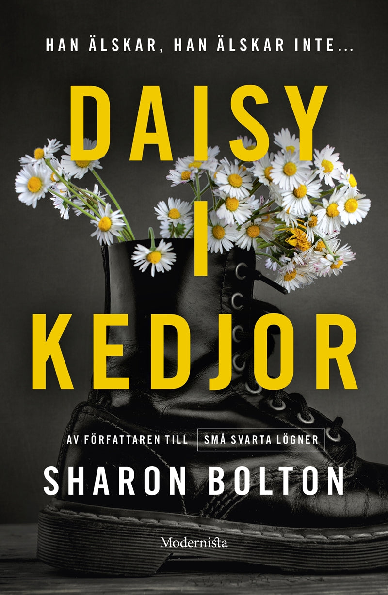 Daisy i kedjor – E-bok