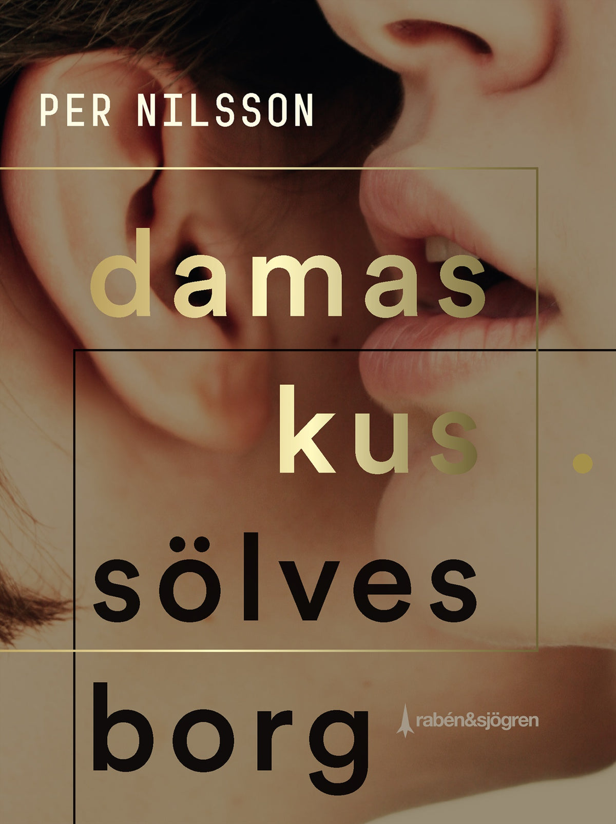 Damaskus Sölvesborg – E-bok