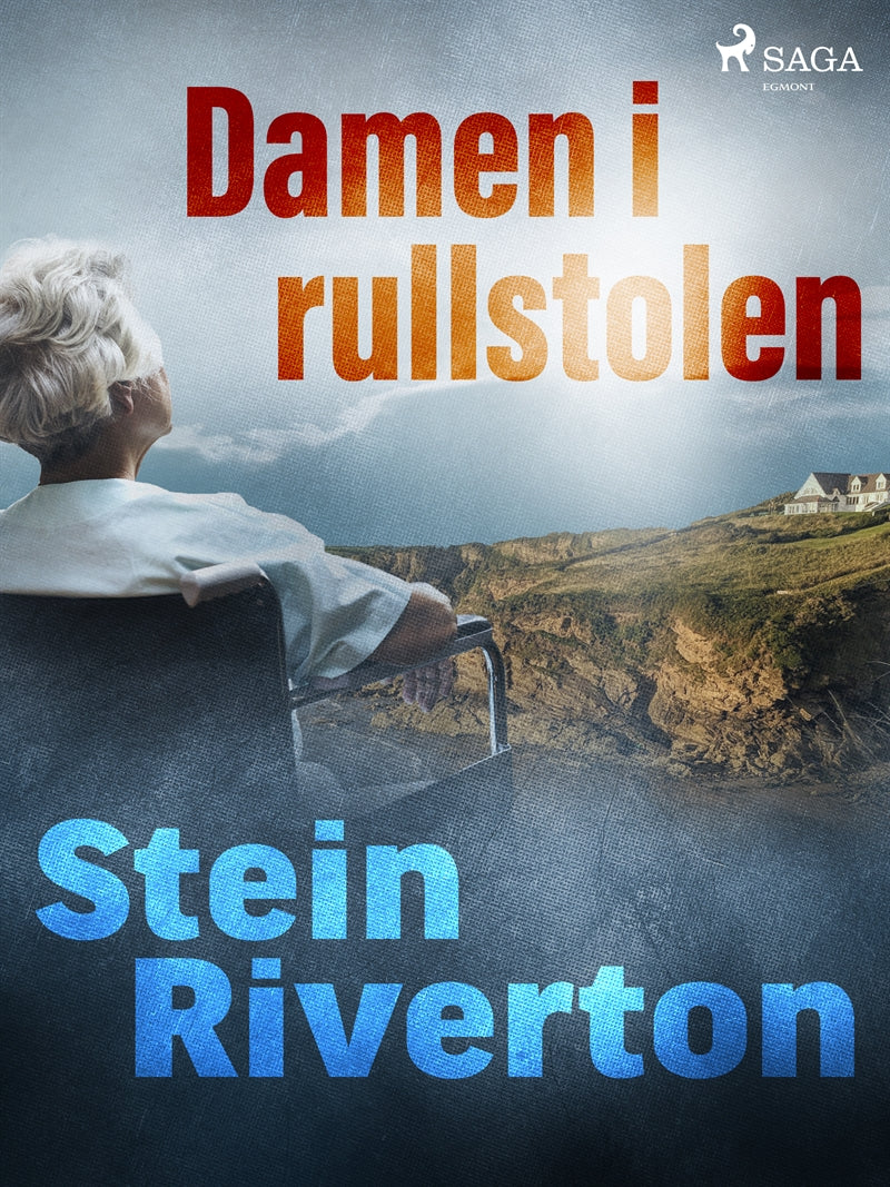 Damen i rullstolen – E-bok
