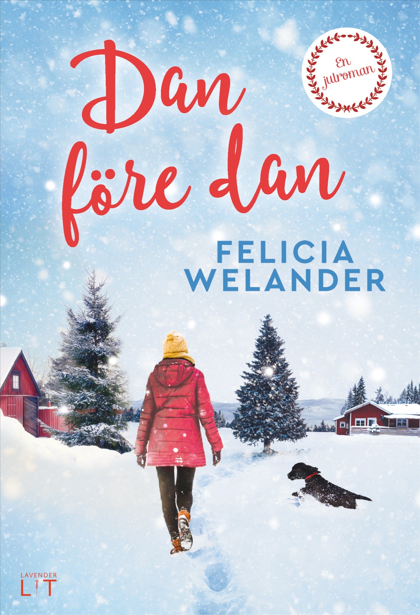 Dan före dan – E-bok