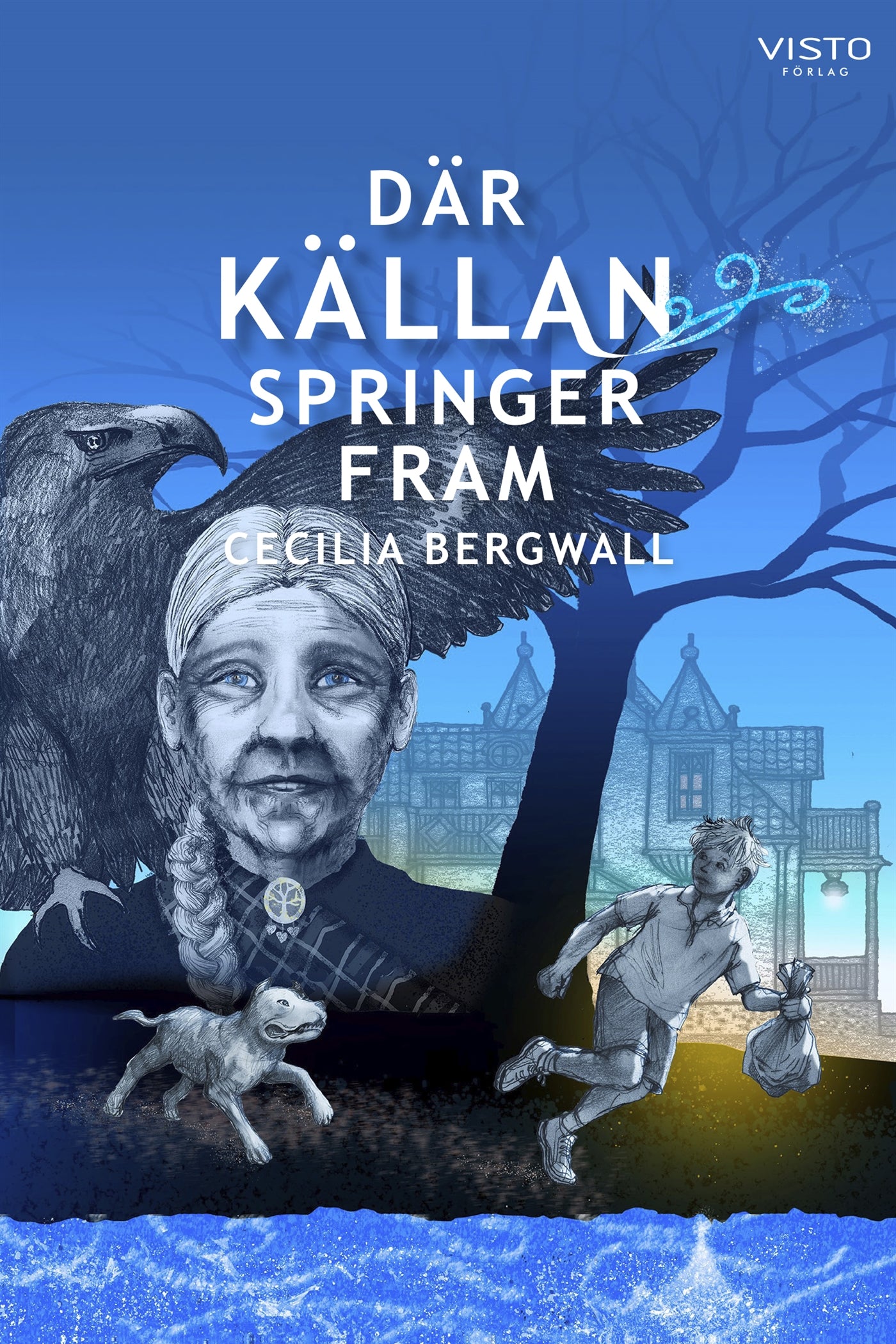 Där Källan springer fram – E-bok