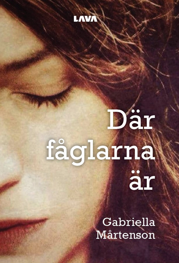 Där fåglarna är – E-bok