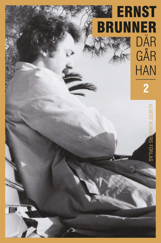 Där går han. 2, 1970-1990 – E-bok