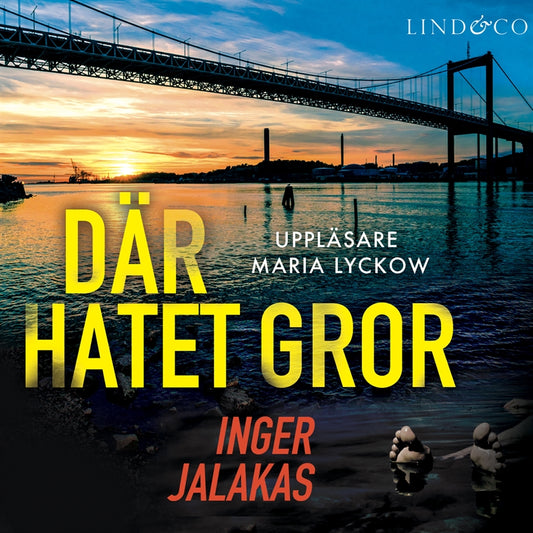 Där hatet gror – Ljudbok