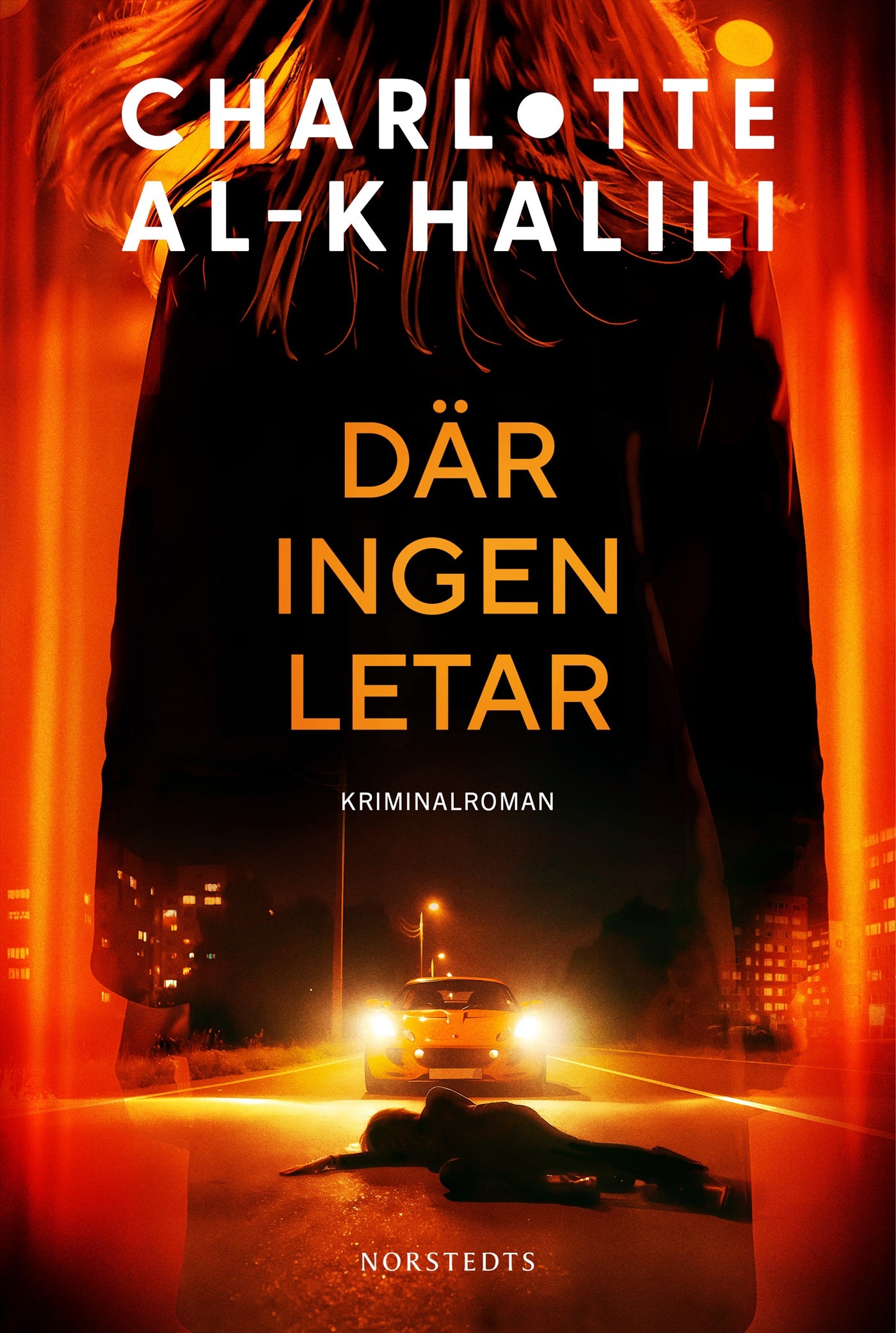 Där ingen letar – E-bok