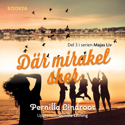 Där mirakel sker – Ljudbok