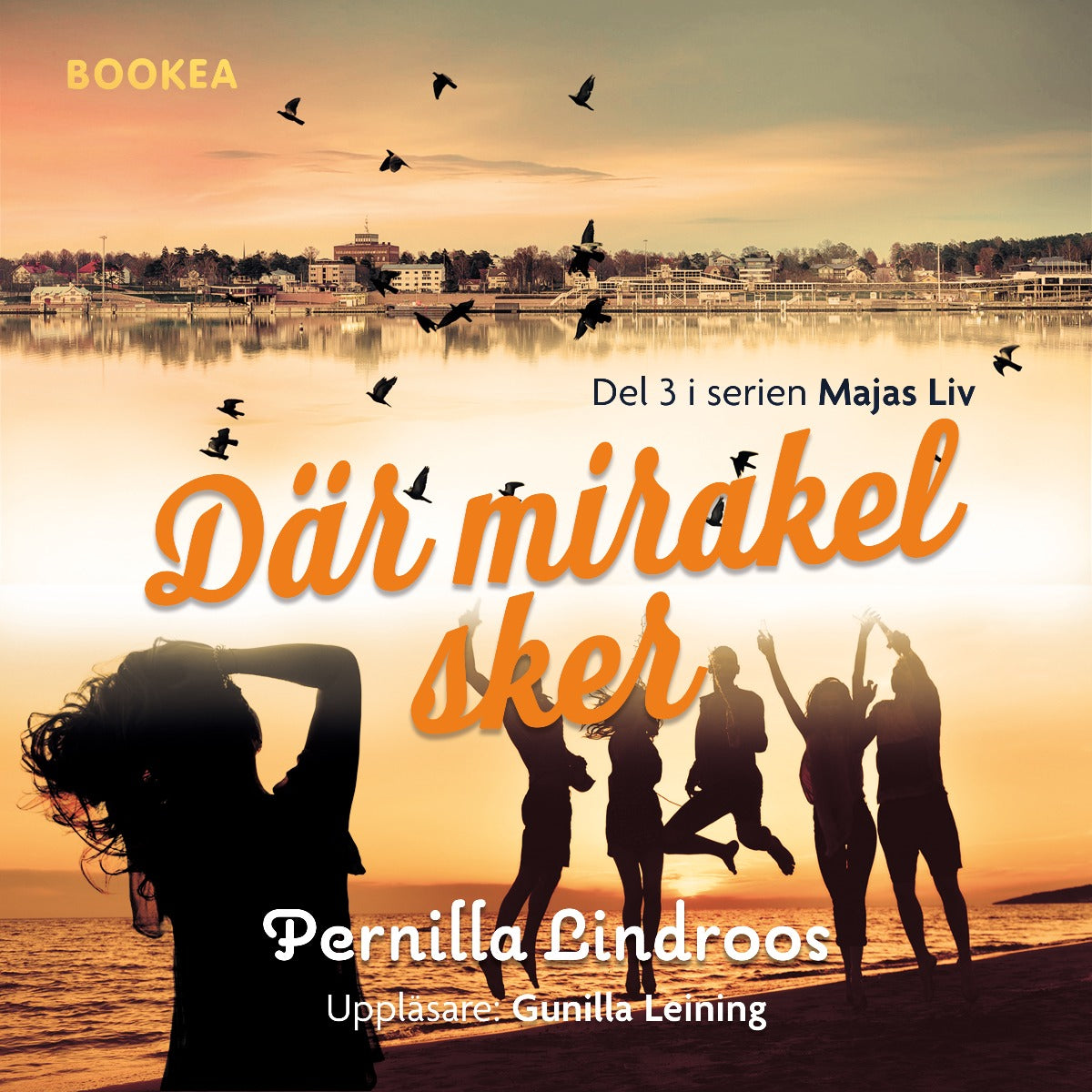 Där mirakel sker – Ljudbok