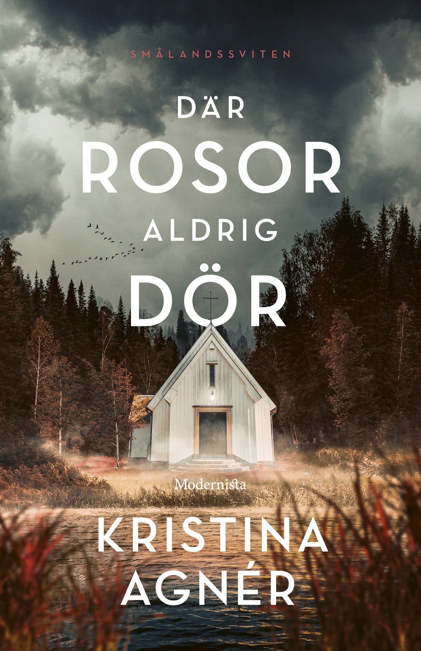 Där rosor aldrig dör – E-bok