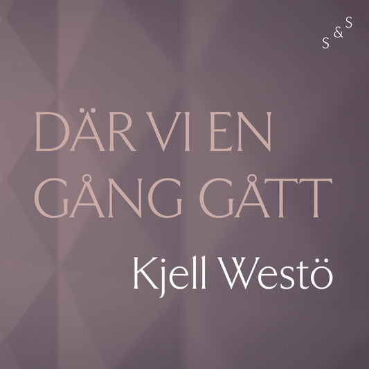 Där vi en gång gått – Ljudbok