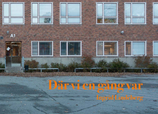 Där vi en gång var – E-bok