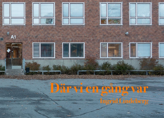 Där vi en gång var – E-bok