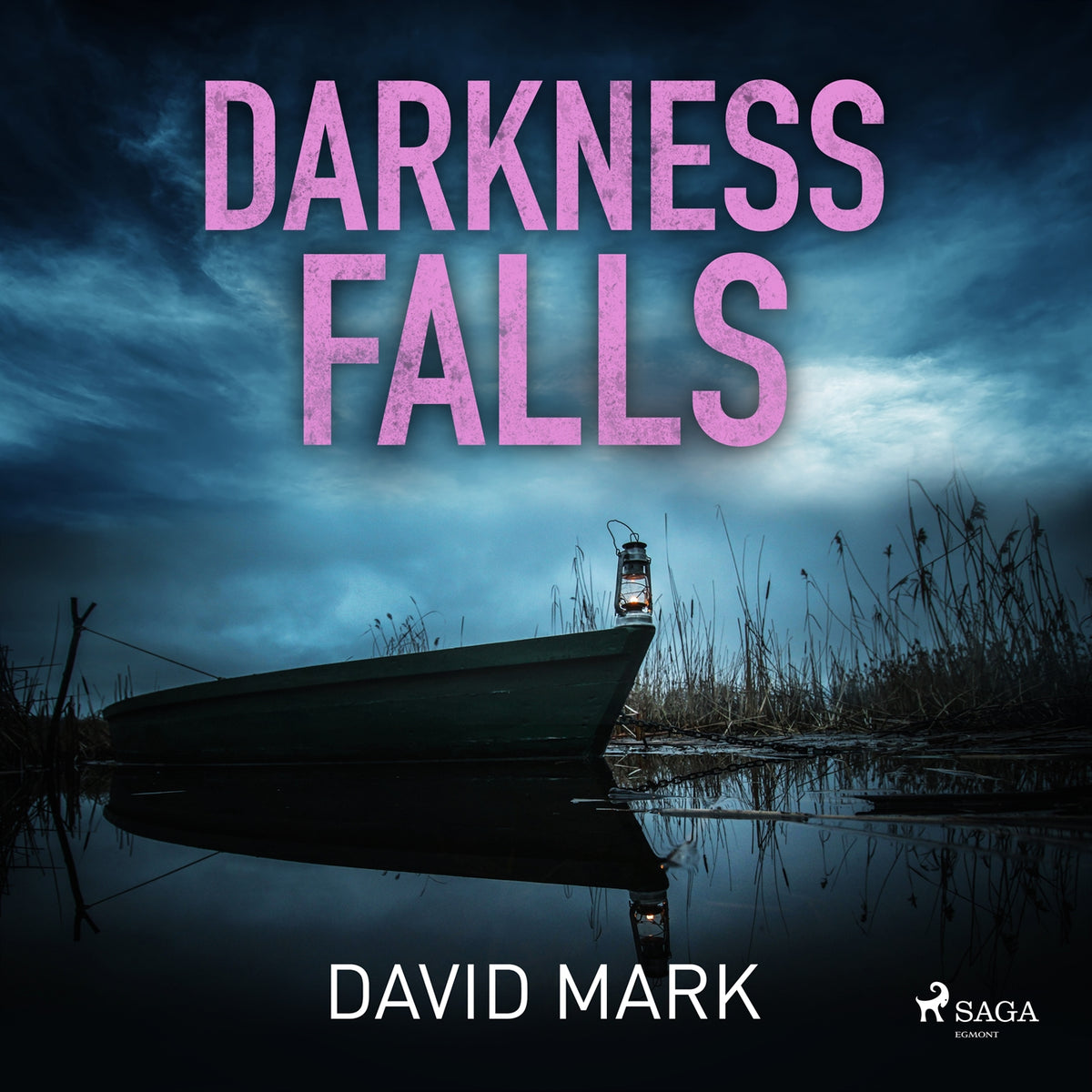 Darkness Falls – Ljudbok