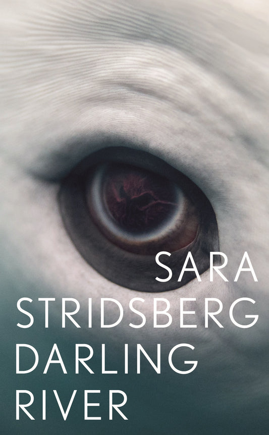 Darling River – E-bok