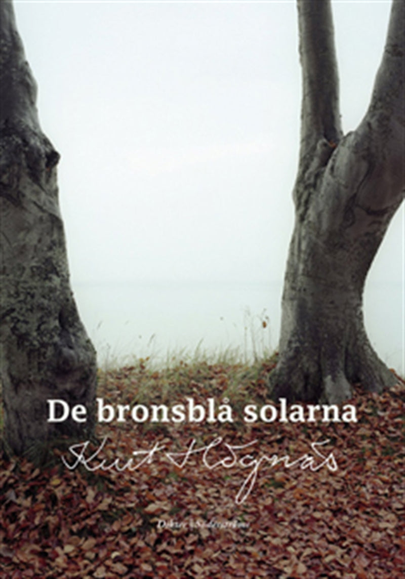 De bronsblå solarna – E-bok