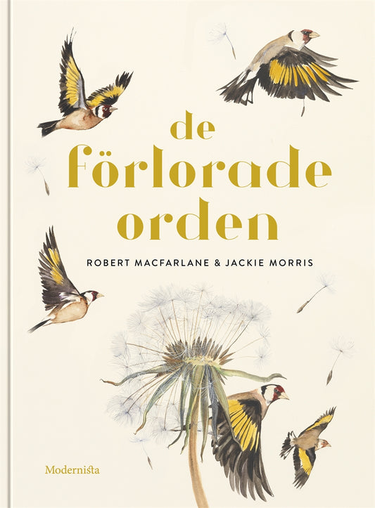 De förlorade orden – E-bok