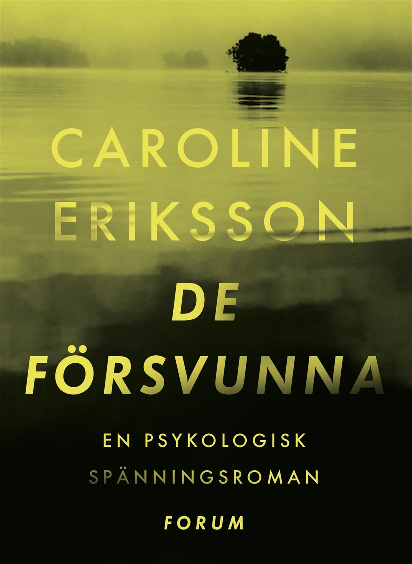 De försvunna – E-bok