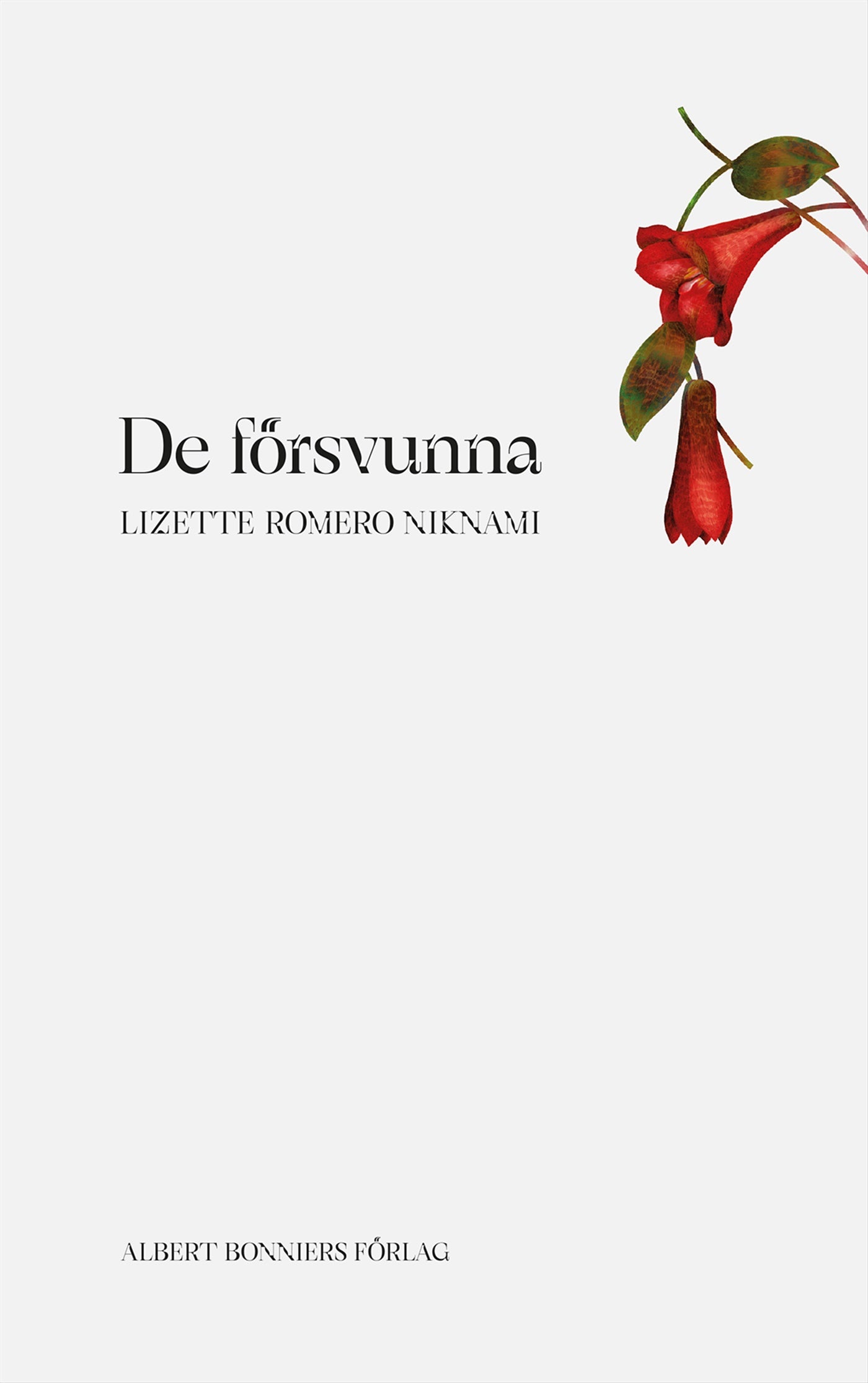 De försvunna – E-bok