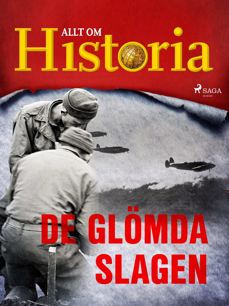 De glömda slagen – E-bok