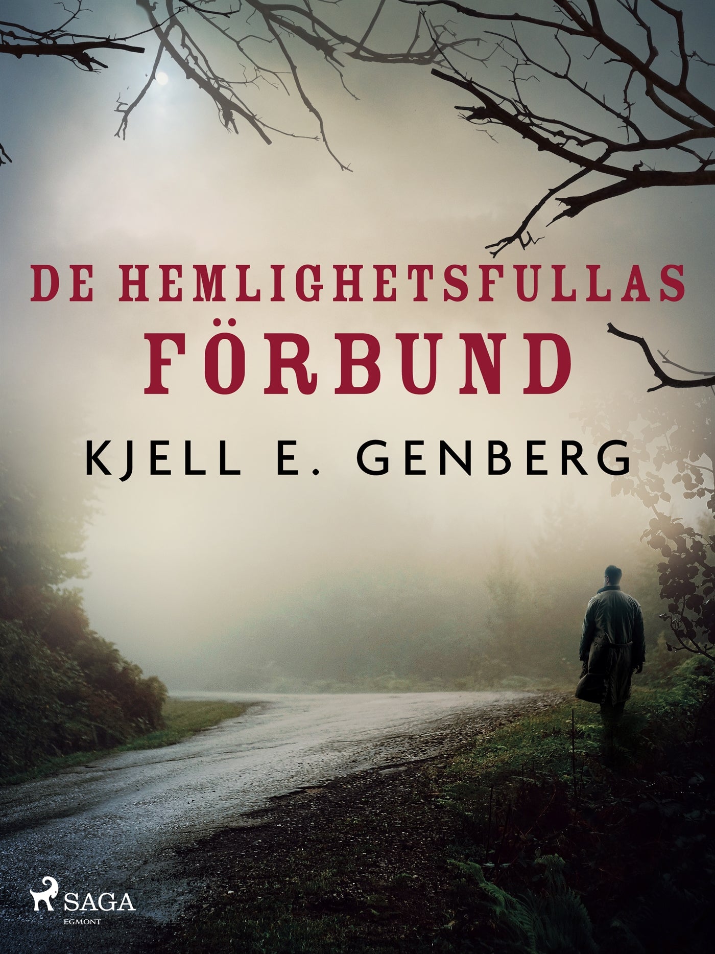 De hemlighetsfullas förbund – E-bok